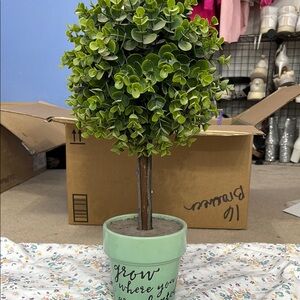 Green Faux Topiary in Decorative Pot